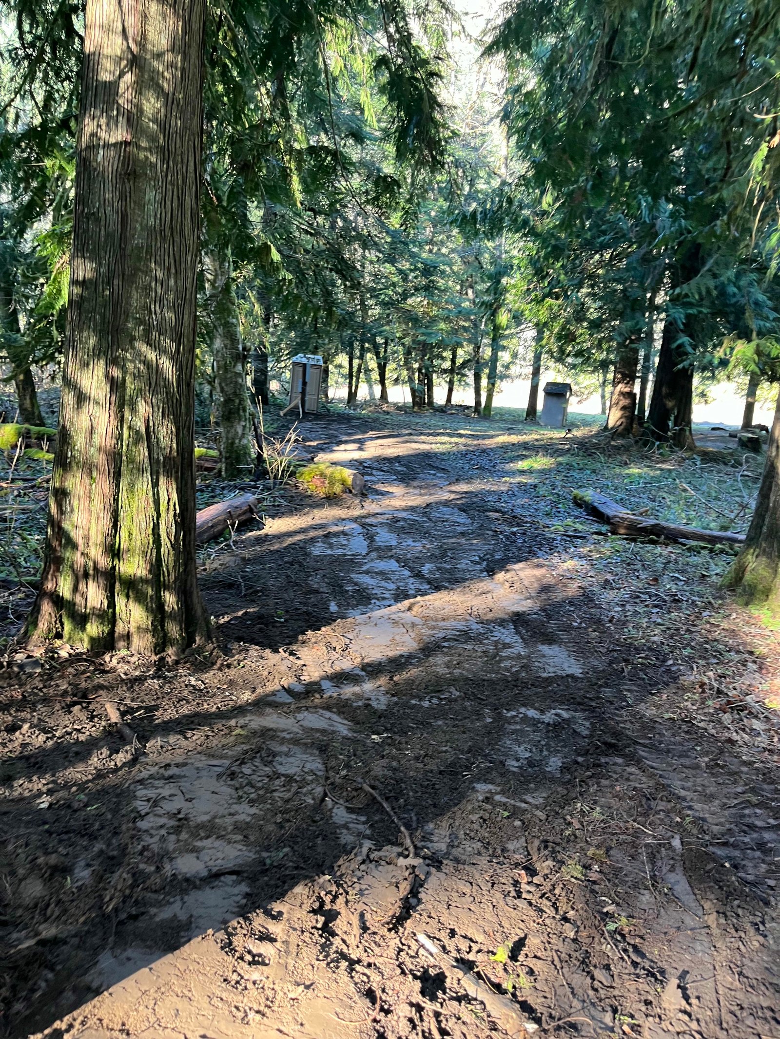 Completed underground power line project with soil graded and compacted over the trench line in Lewis County